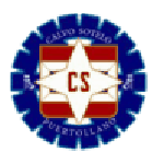 Calvo Sotelo Logo