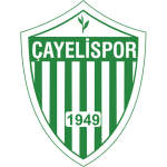 Çayelispor Logo