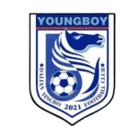 Dalian Yingbo B Logo