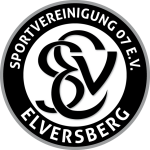 Elversberg Sub-19 Logo