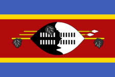 Ezulwini United Logo