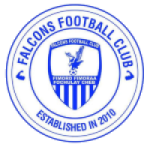 Falcons Logo