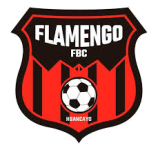 Flamengo FBC Feminino Logo