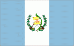 Guatemala Feminino Logo