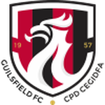 Guilsfield Logo