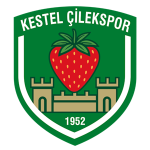 Kestel Çilek Logo