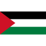 Palestine Feminino Logo