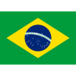 Brasil Feminino Logo