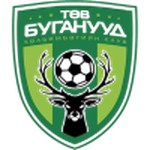 Central Stallions Logo