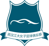 Wuhan Jiangda Feminino Logo