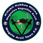 Negelle Arsi Logo