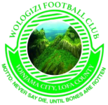 Wologizi Logo