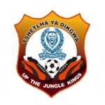 Police XI Logo