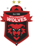 Wollongong Wolves Sub-20 Logo