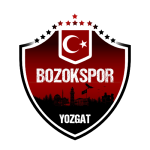 Yozgat Bld Bozokspor Logo